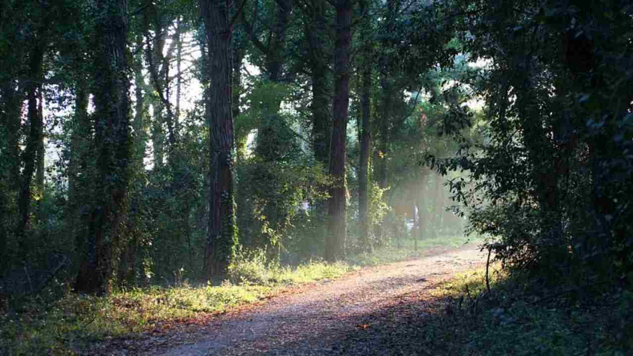 parco nazionale del circeo