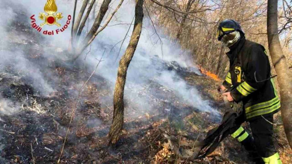 Incendio boschivo, Vigili del Fuoco