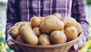 Come conservare le patate - IlQuotidianodelLazio.it (fonte assetsdelivery)