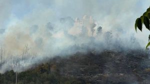 Incendio di Monte Mario a Roma