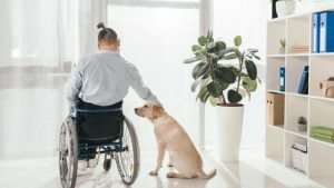 esenzioni per i cittadini italiani disabili