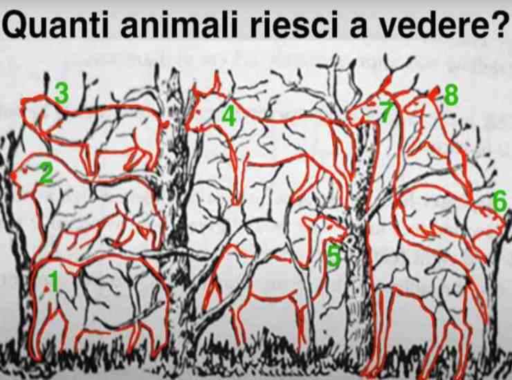 soluzione del test visivo