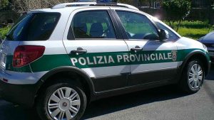 Auto_polizia_provinciale