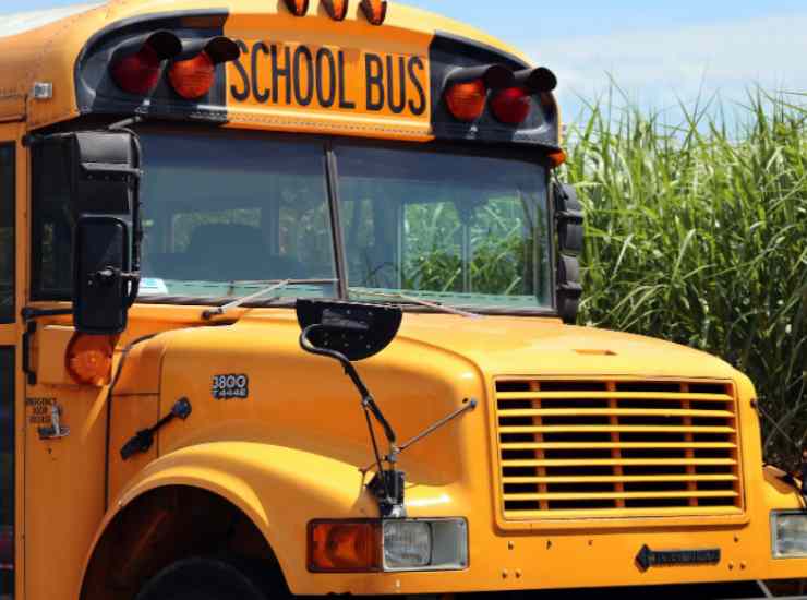 lavoro per autisti scuola bus Colleferro