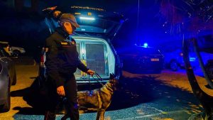 Carabinieri di Ostia in azione