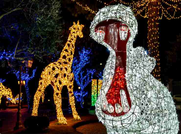 Luminarie di Gaeta