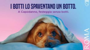 Manifesto campagna di sensibilizzazione contro i botti di Capodanno