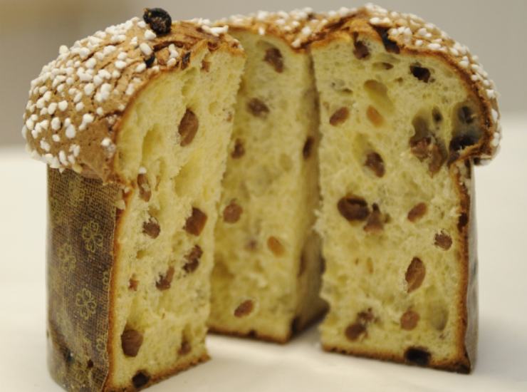 Panettone